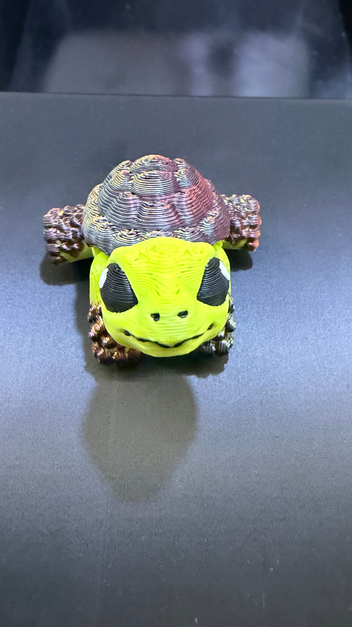 Hatchling tortoise - Pond Pack Exclusive