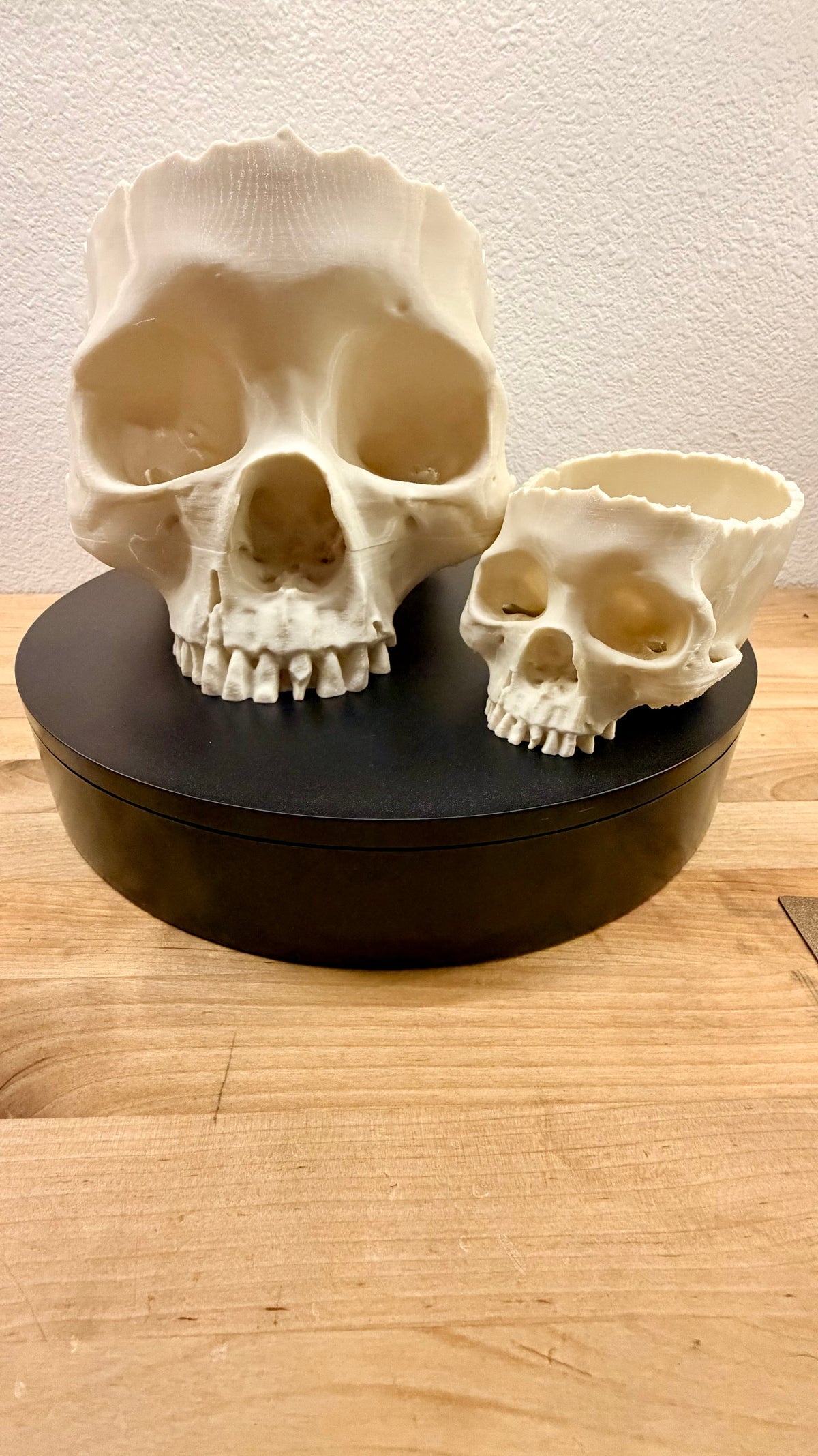 Dead Inside - Natural Bone Skull Bowl, Gothic Decor  NEW RELEASE!