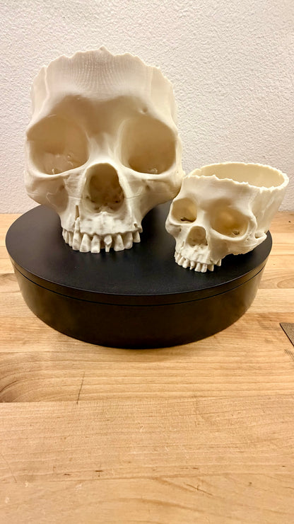 Dead Inside - Natural Bone Skull Bowl, Gothic Decor  NEW RELEASE!