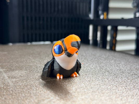 Hatchling, Toucan - Bird Pack