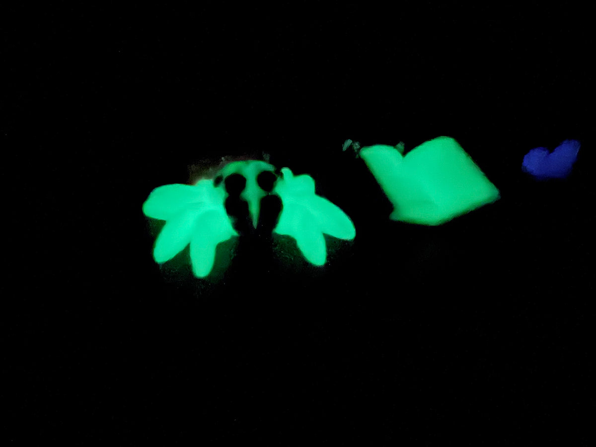 Tiny Spider - Book (Glow)