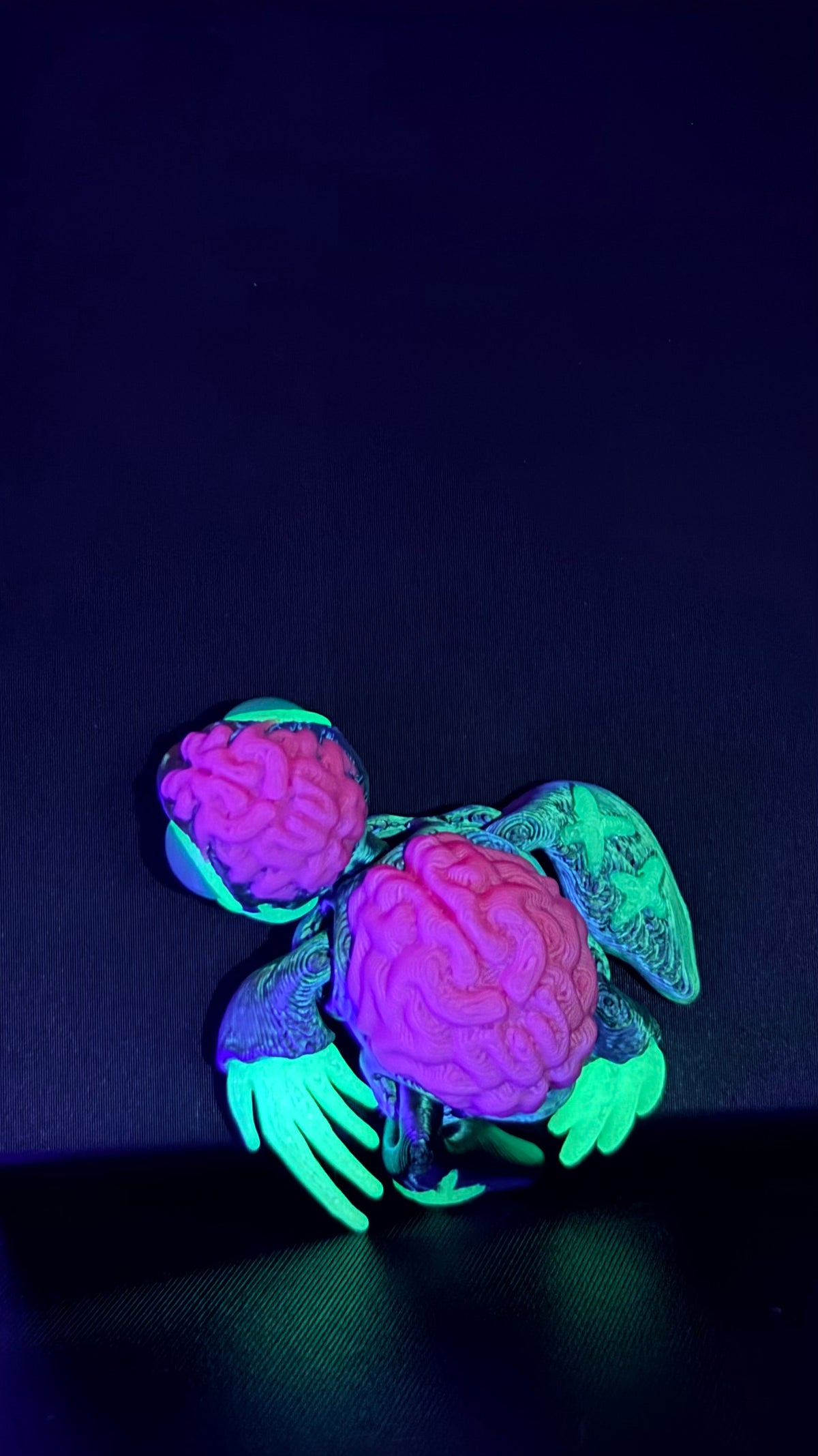 Hatchling, Zomburtle Zombie Sea Turtle