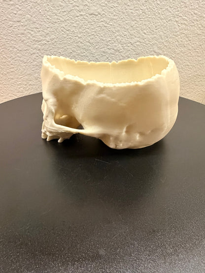 Dead Inside - Natural Bone Skull Bowl, Gothic Decor  NEW RELEASE!