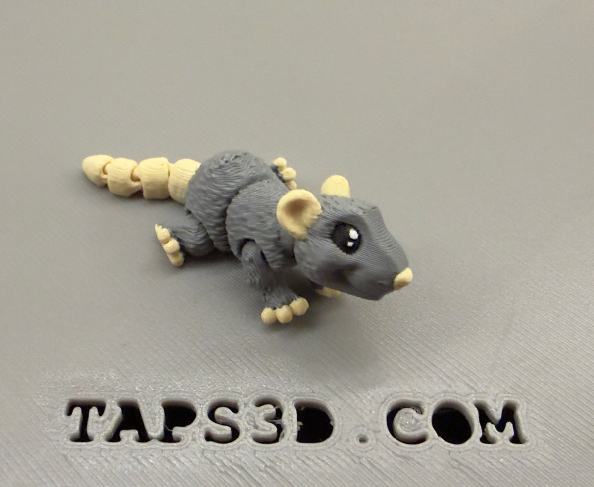 Micro Rat