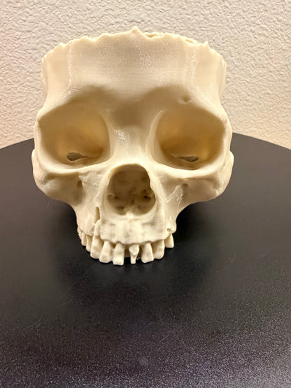 Dead Inside - Natural Bone Skull Bowl, Gothic Decor  NEW RELEASE!