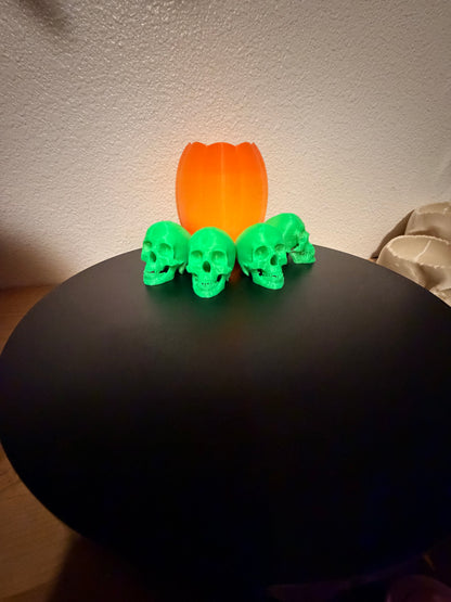 Glowing Skulls, 2.5" Glow-in-the-Dark Halloween Decor  NEW RELEASE!