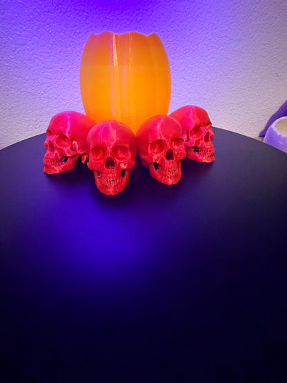 Glowing Skulls, 2.5" Glow-in-the-Dark Halloween Decor  NEW RELEASE!