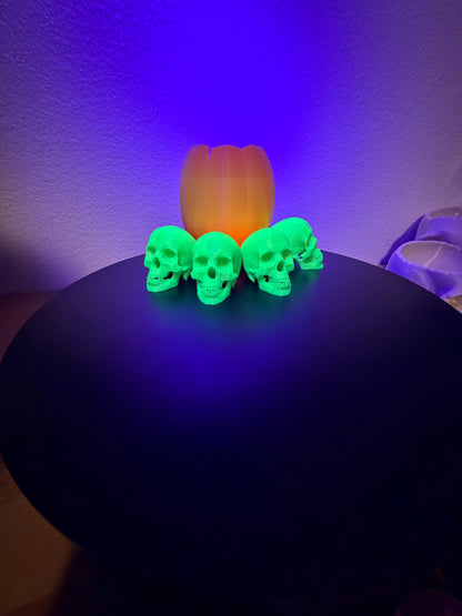 Glowing Skulls, 2.5" Glow-in-the-Dark Halloween Decor  NEW RELEASE!