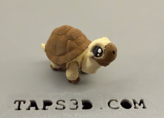 Micro Tortoise Companion