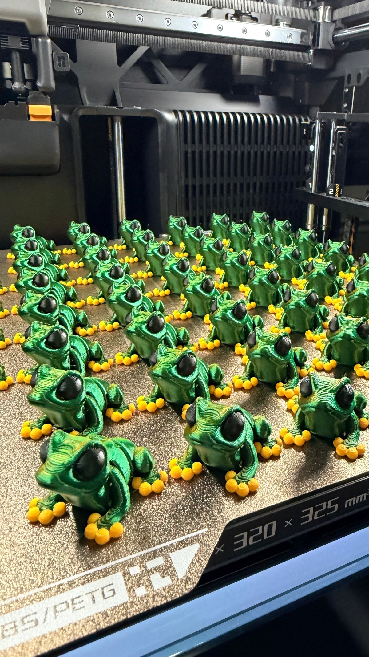 Hatchling, Pond Frog (1.5" Long) - Pond Pack Exclusive