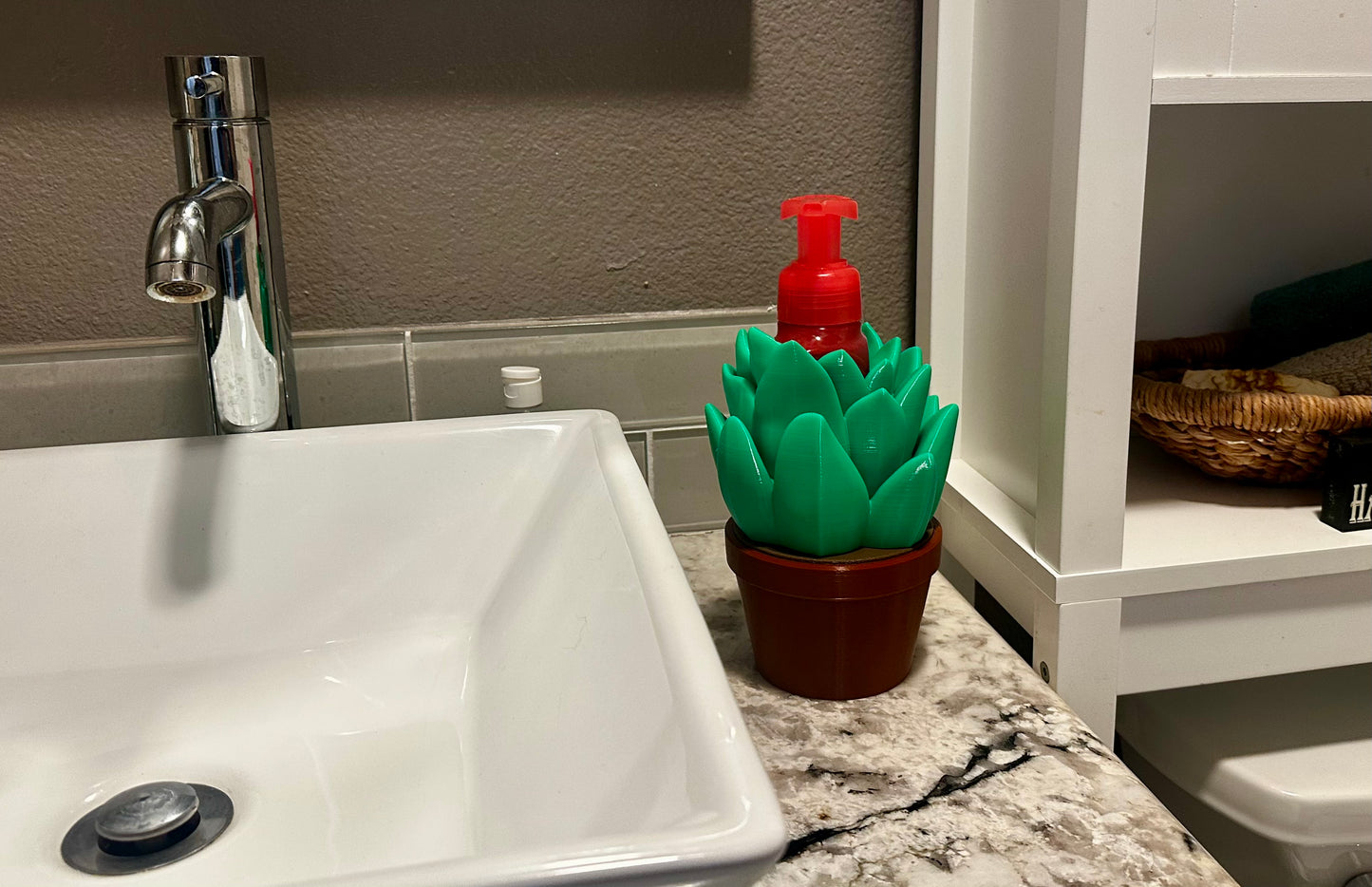 Succulent
