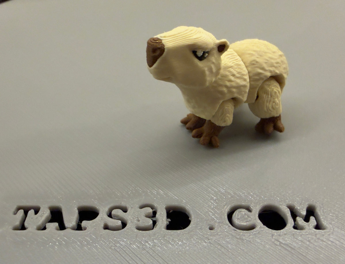 Micro Capybara