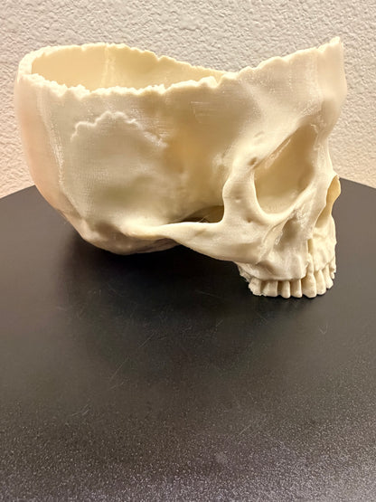 Dead Inside - Natural Bone Skull Bowl, Gothic Decor  NEW RELEASE!