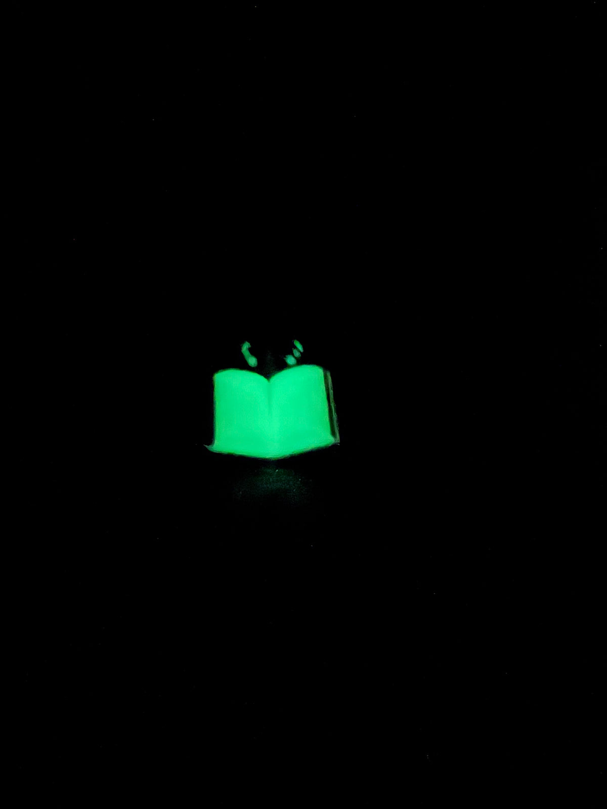 Tiny Spider - Book (Glow)