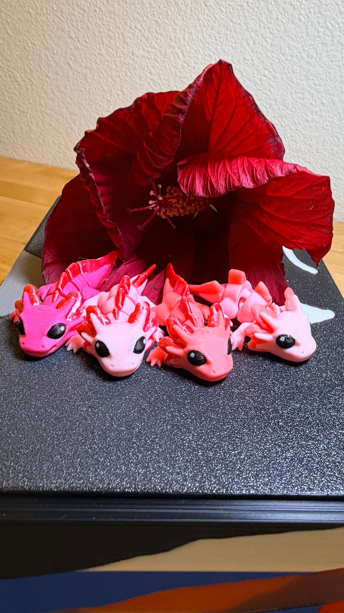 Hatchlings, Pond Pack Exclusive - Axolotl