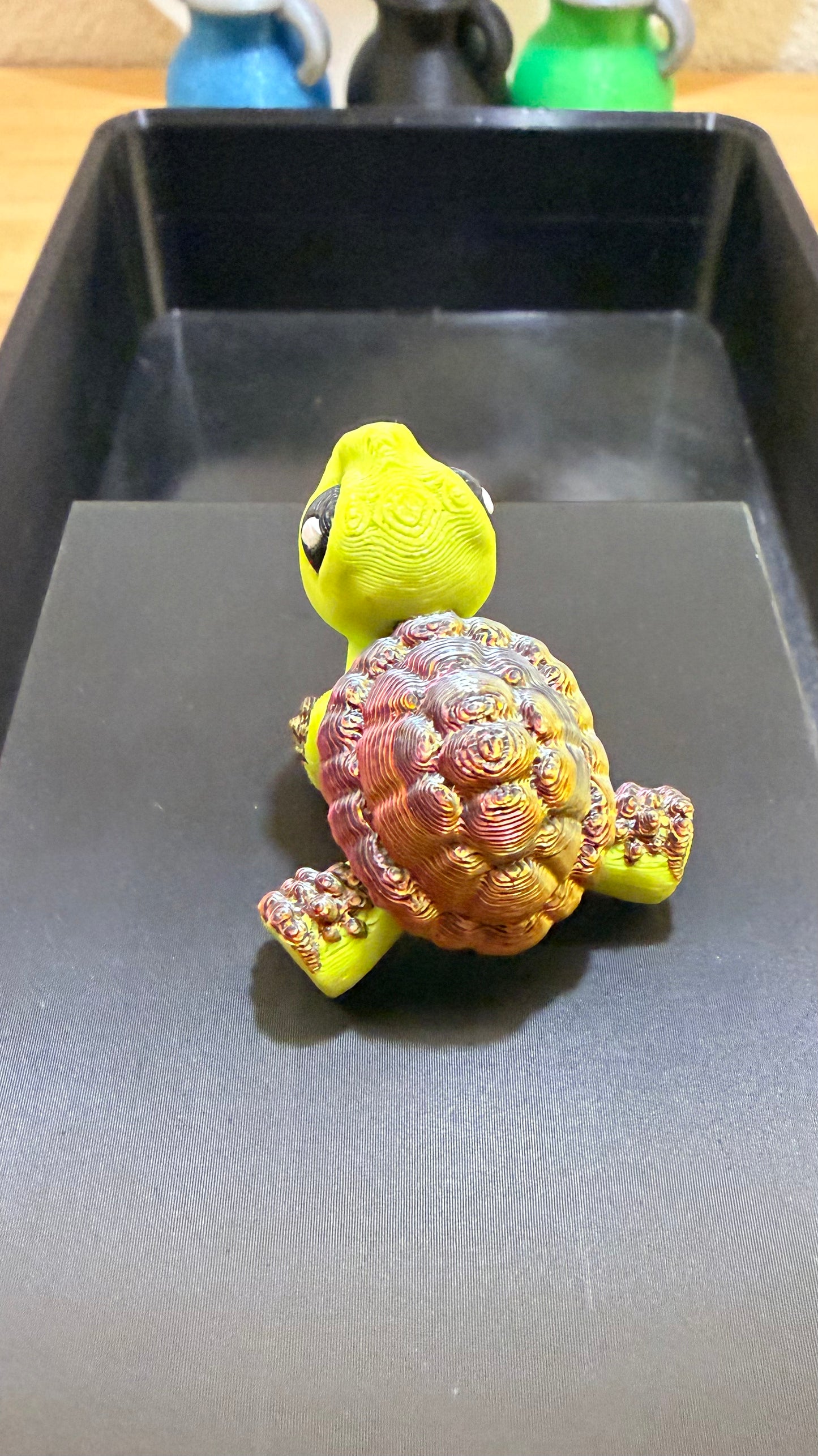 Hatchling tortoise - Pond Pack Exclusive