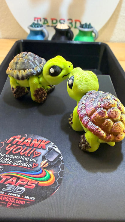 Hatchling tortoise - Pond Pack Exclusive