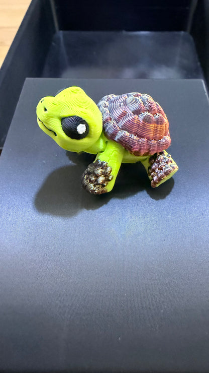 Hatchling tortoise - Pond Pack Exclusive
