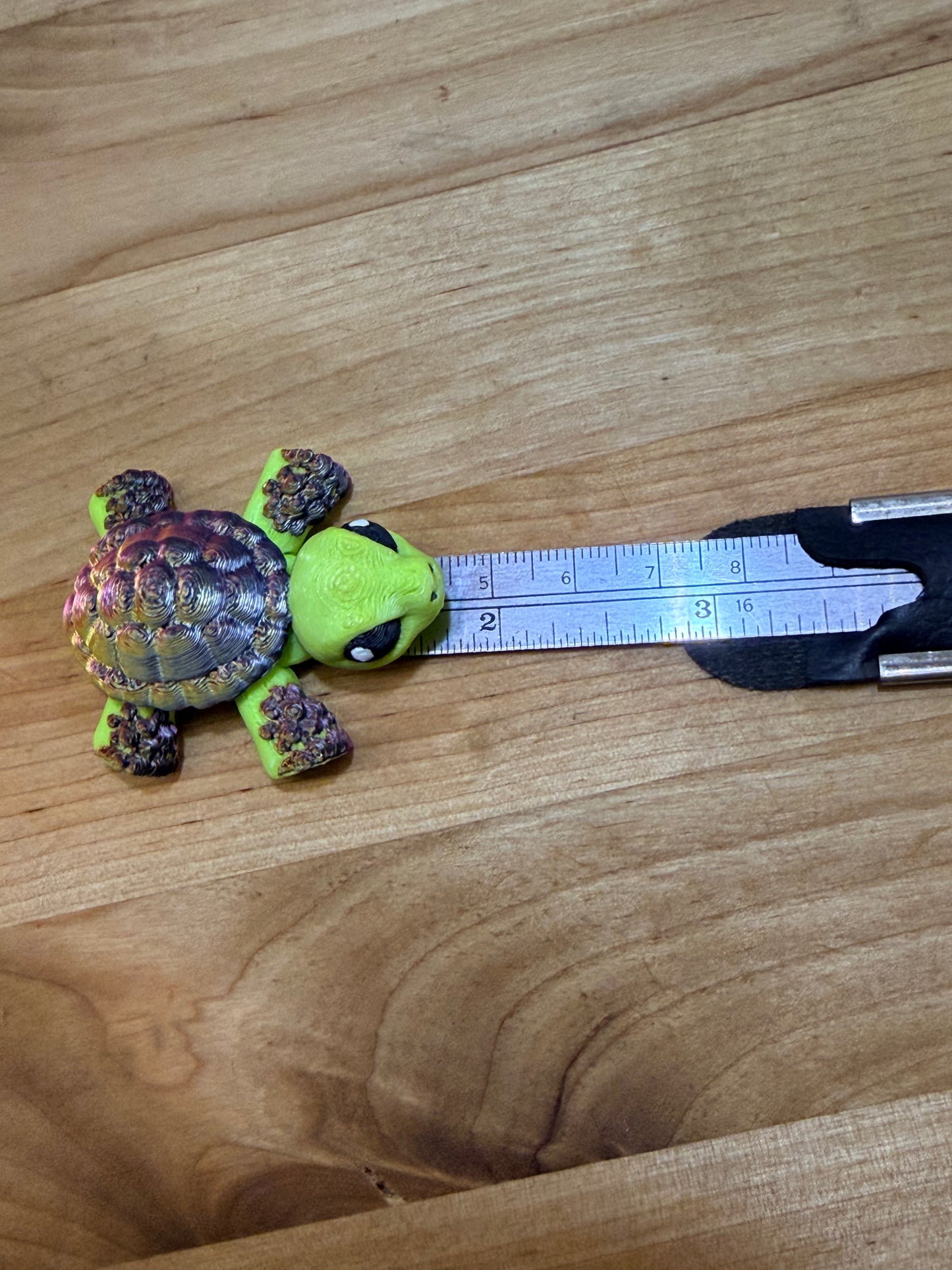 Hatchling tortoise - Pond Pack Exclusive