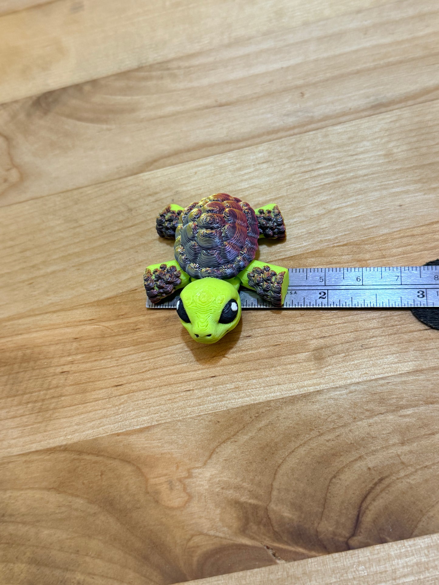 Hatchling tortoise - Pond Pack Exclusive