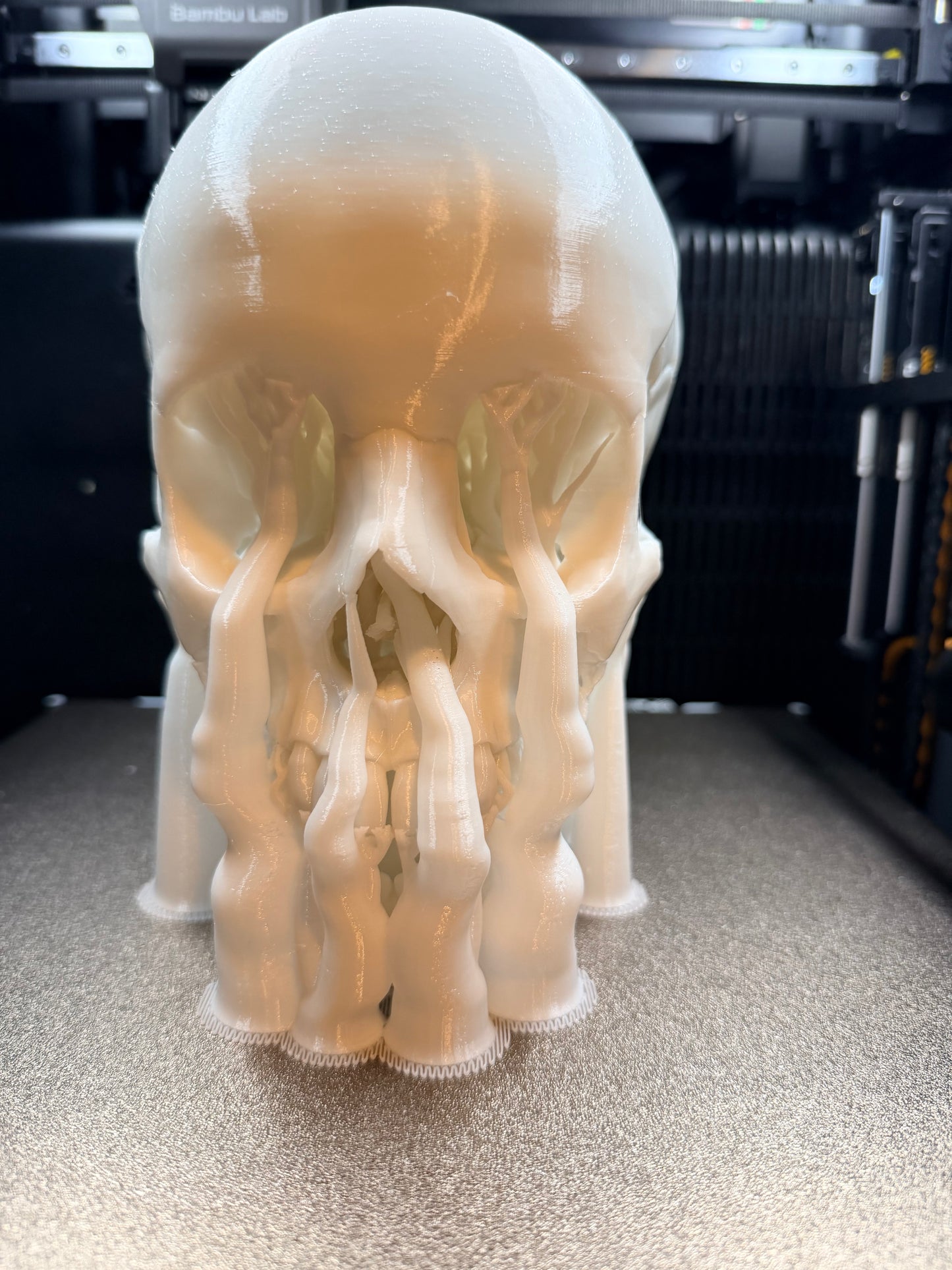 Dead Serious — 3D Printed Skull