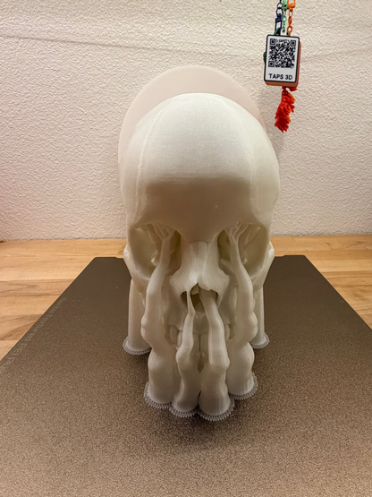 Dead Serious — 3D Printed Skull