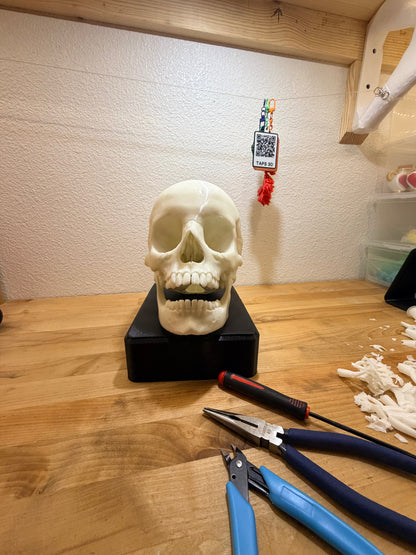 Dead Serious — 3D Printed Skull