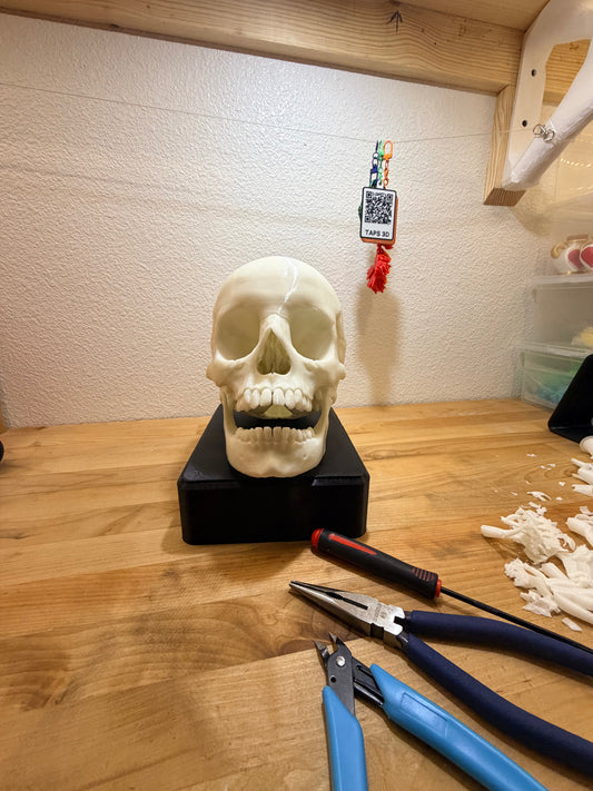Dead Serious — 3D Printed Skull