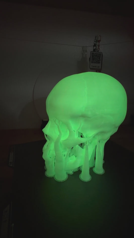 Dead Serious — 3D Printed Skull