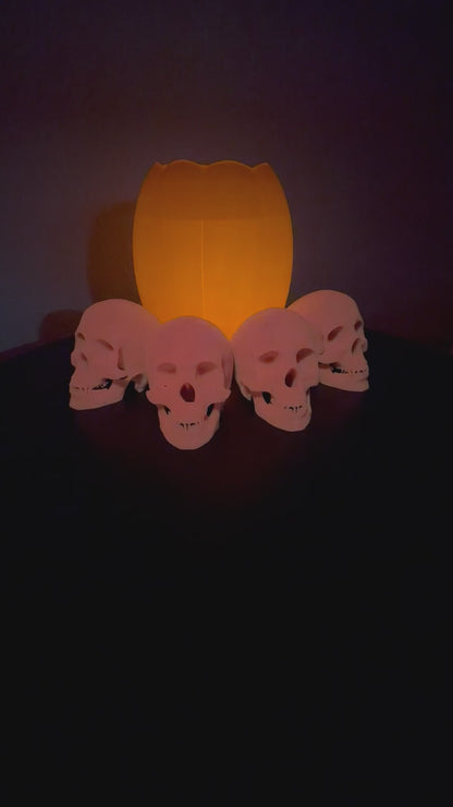 Glowing Skulls, 2.5" Glow-in-the-Dark Halloween Decor  NEW RELEASE!