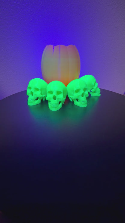 Glowing Skulls, 2.5" Glow-in-the-Dark Halloween Decor  NEW RELEASE!