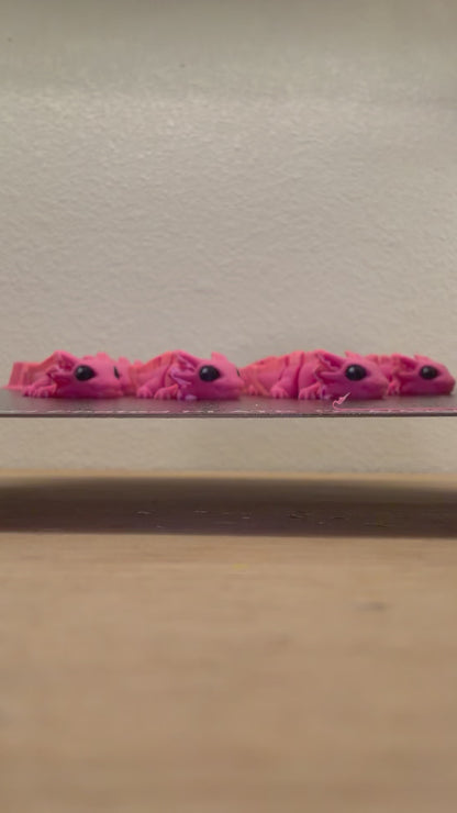 Hatchlings, Pond Pack Exclusive - Axolotl