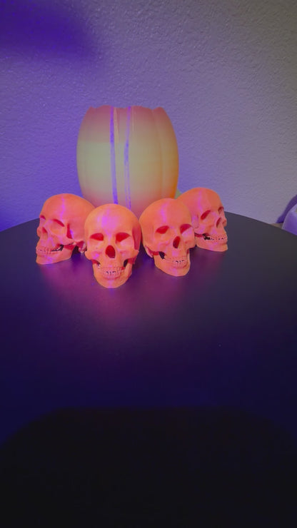 Glowing Skulls, 2.5" Glow-in-the-Dark Halloween Decor  NEW RELEASE!