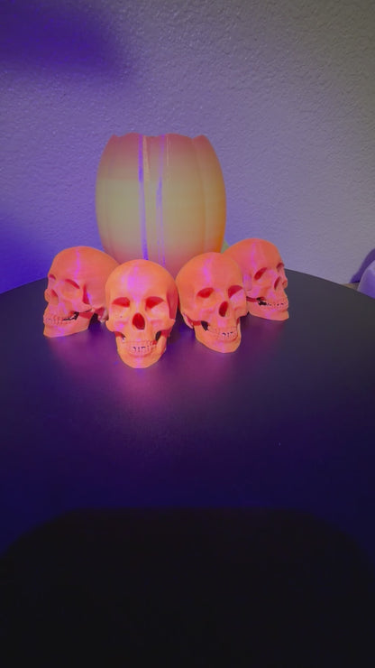 Glowing Skulls, 2.5" Glow-in-the-Dark Halloween Decor  NEW RELEASE!